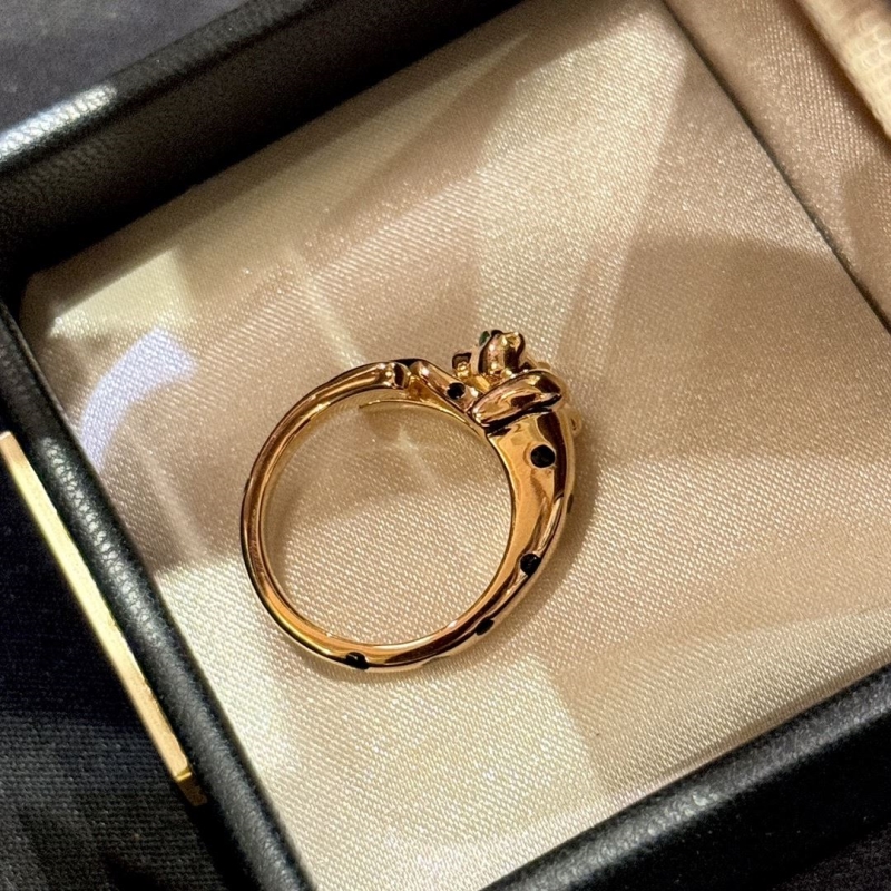 Ca*t1er rings